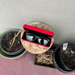 Ray-Ban Black Sunglasses with Bold Red Case